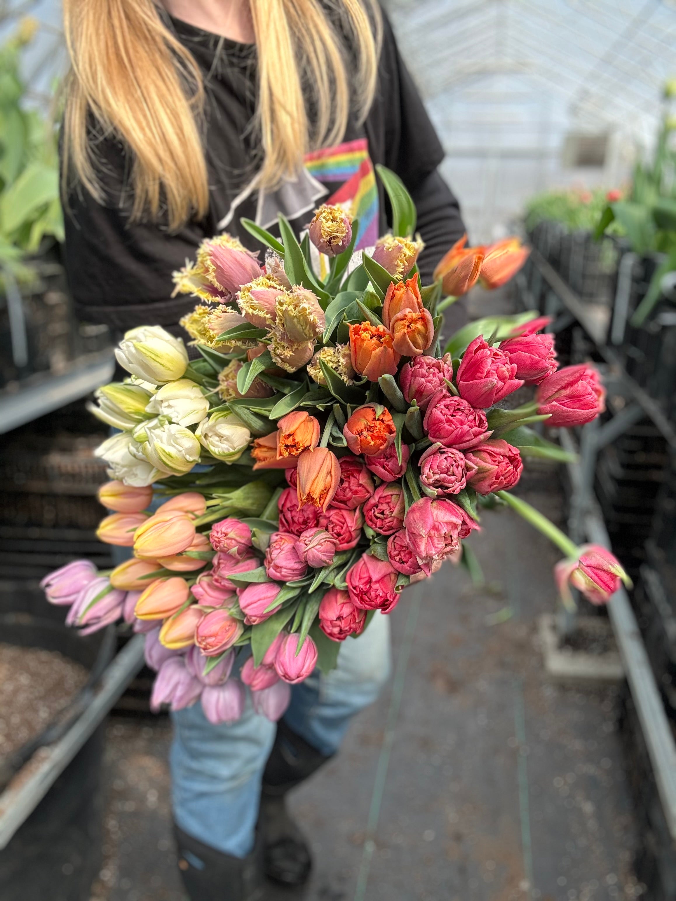 Rainbow Tulip Bucket - Custom Colour Palette