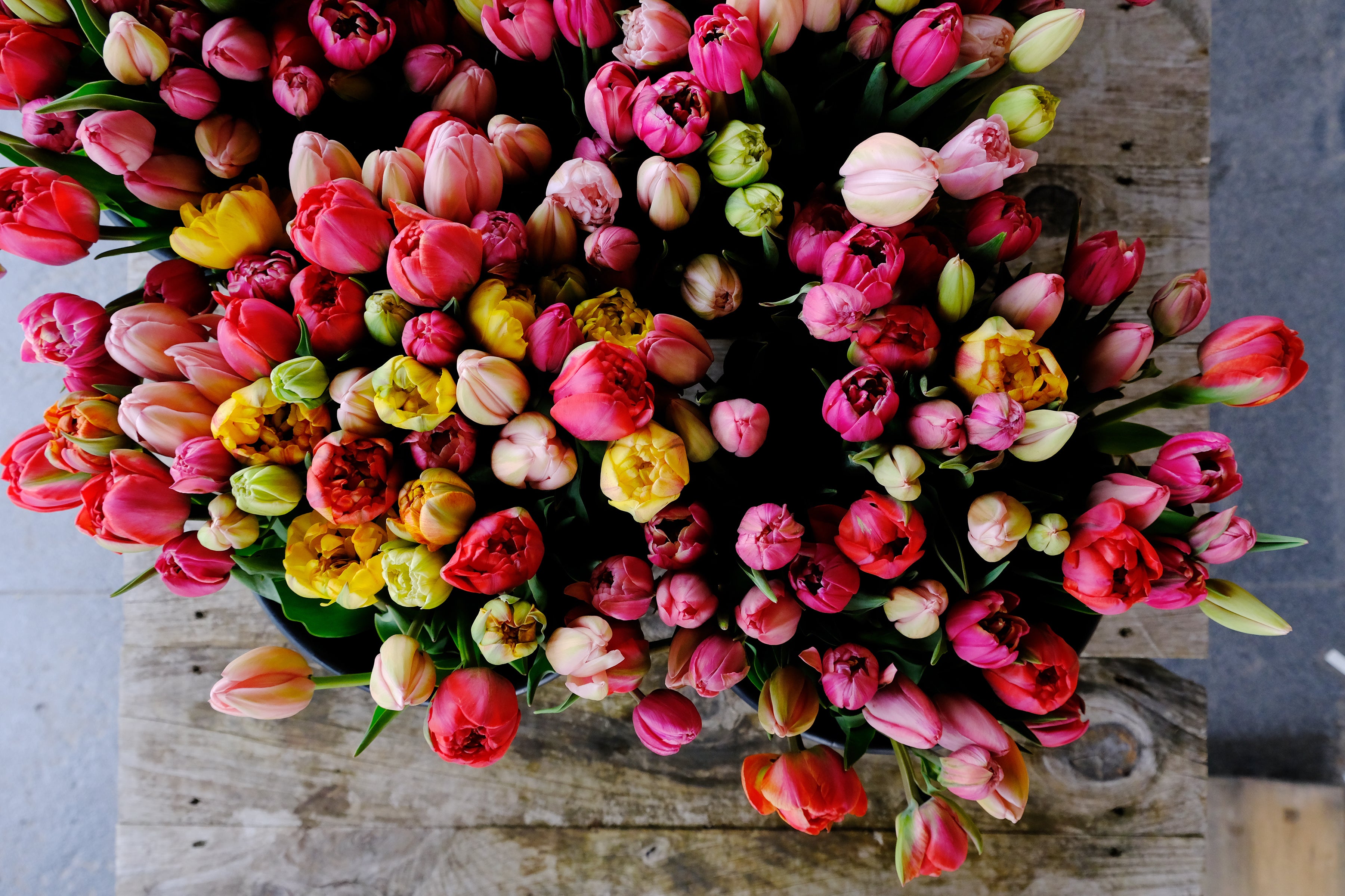 6 Month Flower Subscription: January - June, 2025